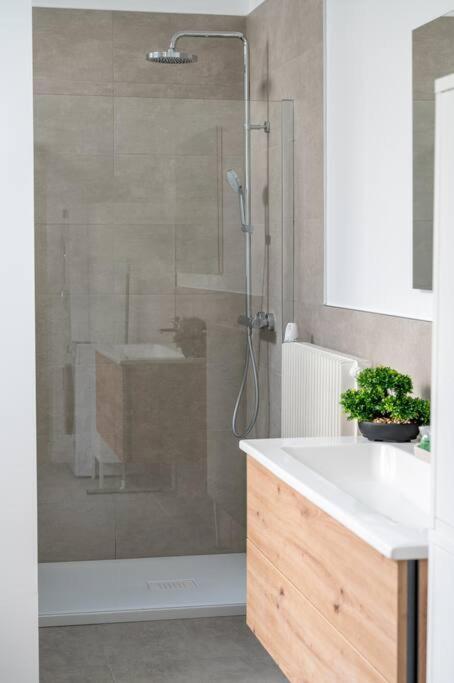 Le Solfe -magnifique T2 Appartement Lille